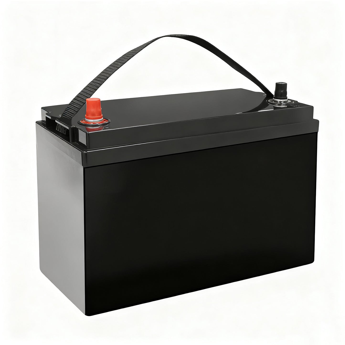 AMEISENTECH LiFePO4 12V 100AH Rechargeable Battery with BMS