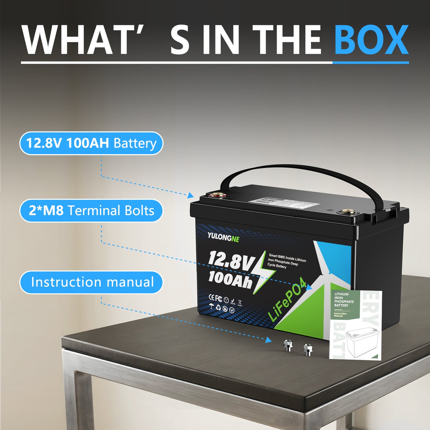 YULONGNE LiFePO4 12V 100AH Rechargeable Battery with BMS