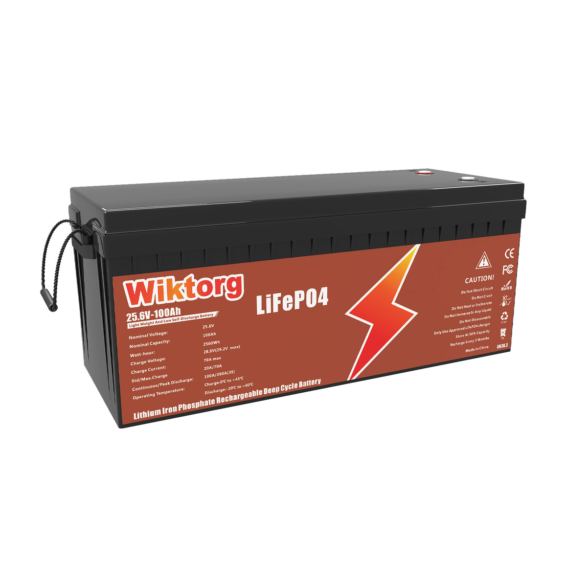 WIKTORG 25.6V 100ah LiFePO4 Battery （LFP）Rechargeable Battery with BMS (Copy)