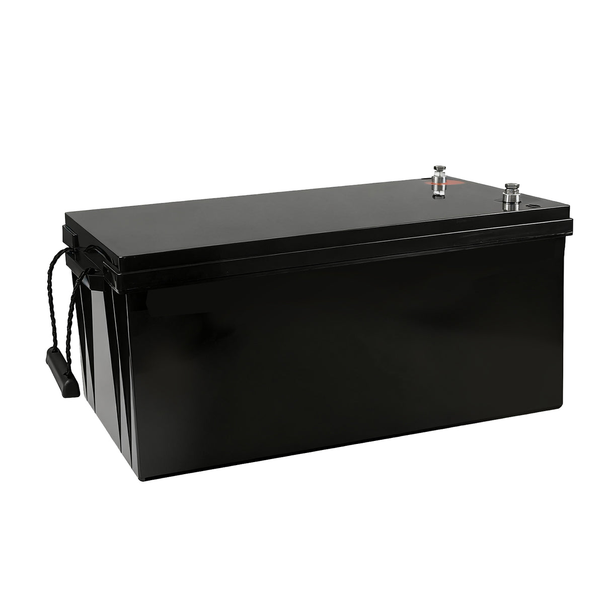 WIKTORG 25.6V 100ah LiFePO4 Battery （LFP）Rechargeable Battery with BMS (Copy)