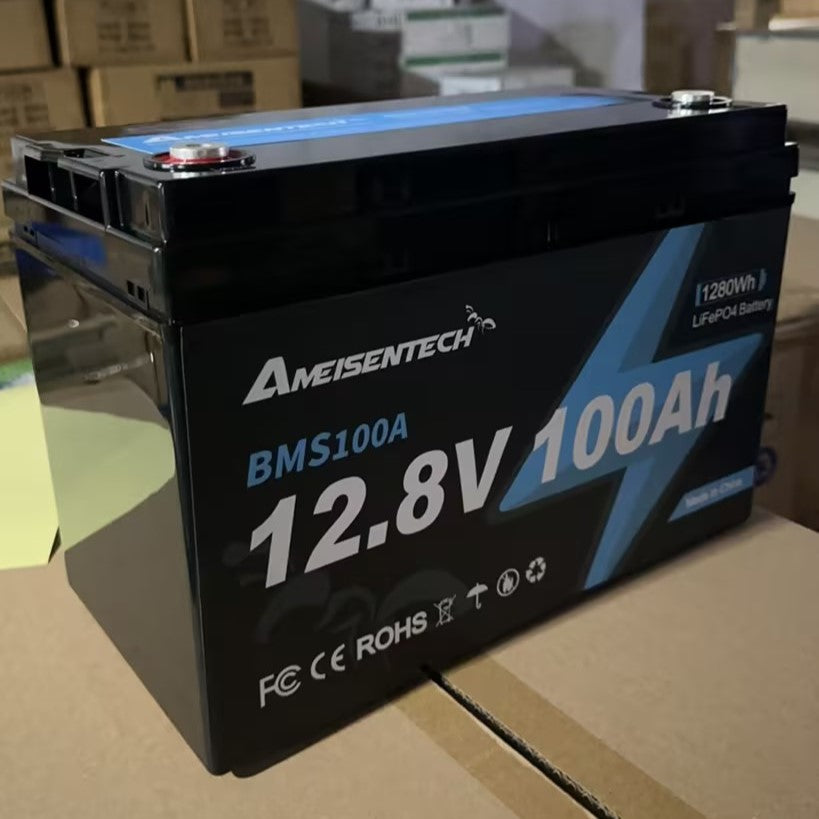AMEISENTECH LiFePO4 12V 100AH Rechargeable Battery with BMS