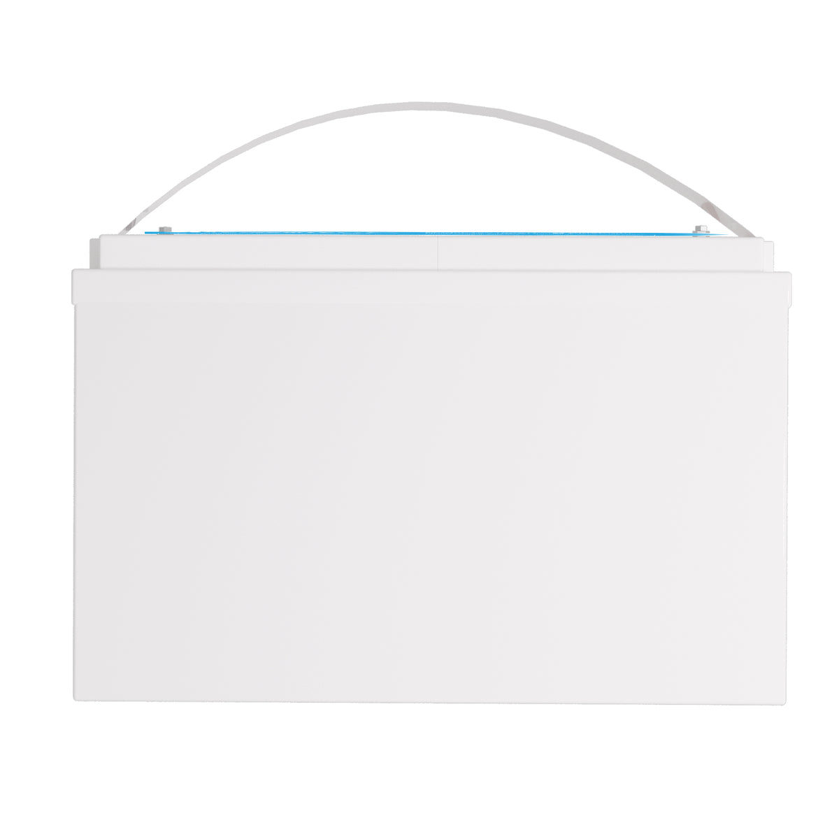 AMEISENTECH LiFePO4 12V 100AH Rechargeable LFP Battery with BMS Bluetooth App Control